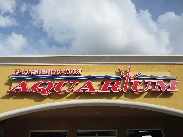 Poseidon Aquarium Picture 6