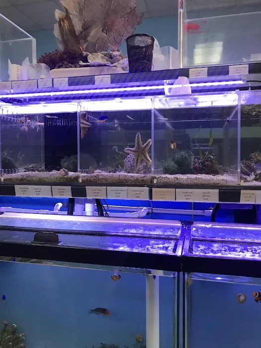 Poseidon Aquarium Picture 2