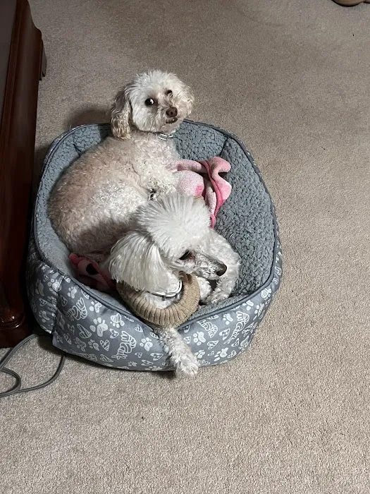 Wayland Animal Clinic Picture 5