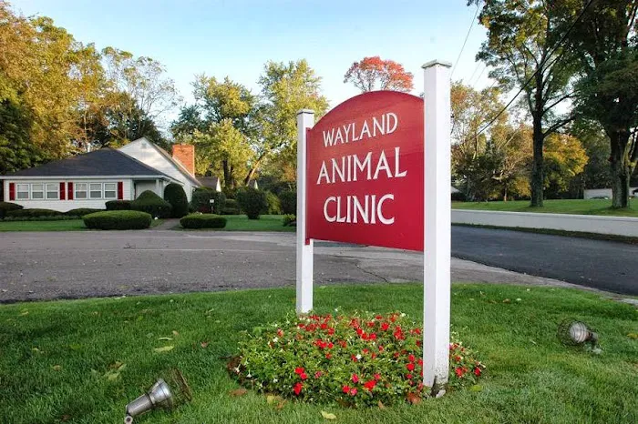 Wayland Animal Clinic Picture 9