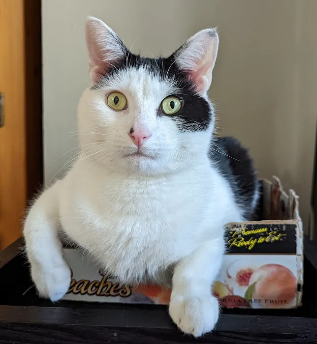 Wayland Animal Clinic Picture 6