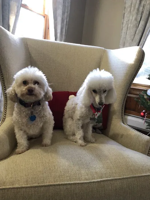 Wayland Animal Clinic Picture 3