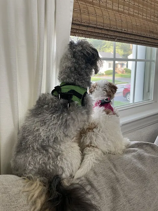 Wayland Animal Clinic Picture 4