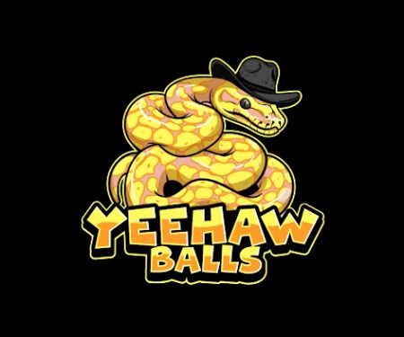 Rat and Mice Feeders | Yeehaw Balls