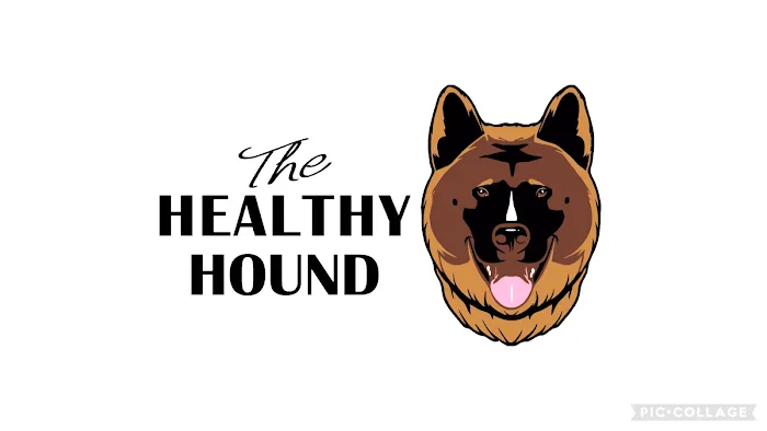 The Healthy Hound Picture 5
