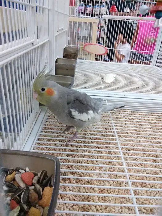 Pet Supermarket Picture 5
