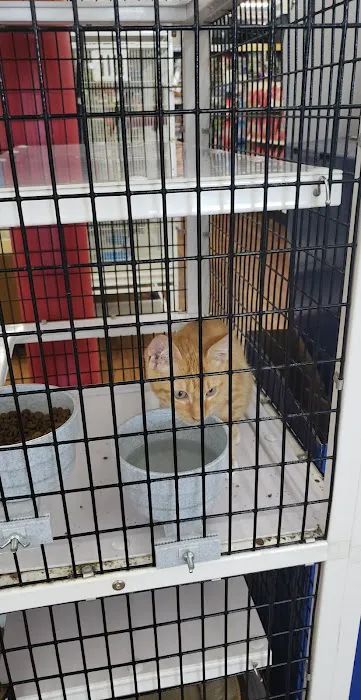 Pet Supermarket Picture 2