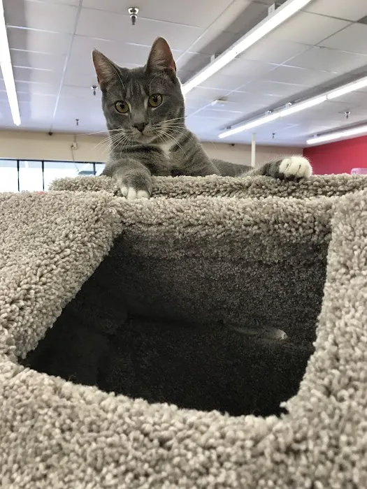 Pet Supermarket Picture 3