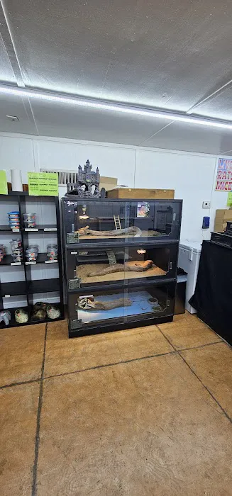 ReptilianSource Picture 6