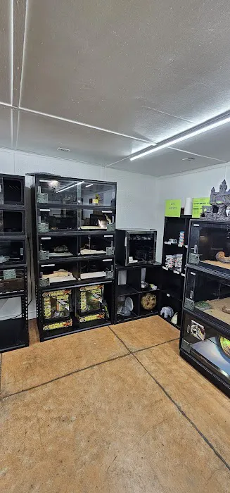ReptilianSource Picture 5