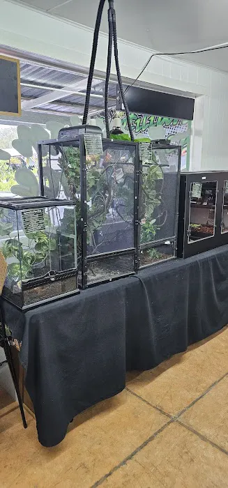 ReptilianSource Picture 4