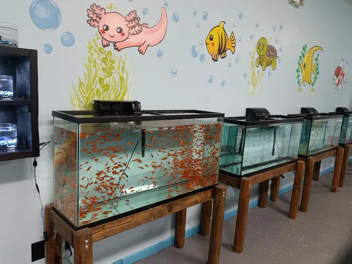 Tails to Scales Picture 1