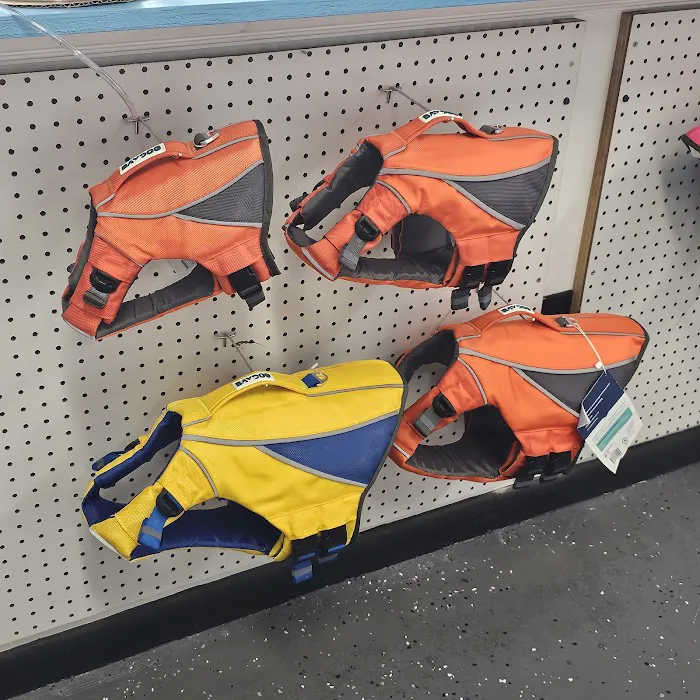 Tails to Scales Picture 3