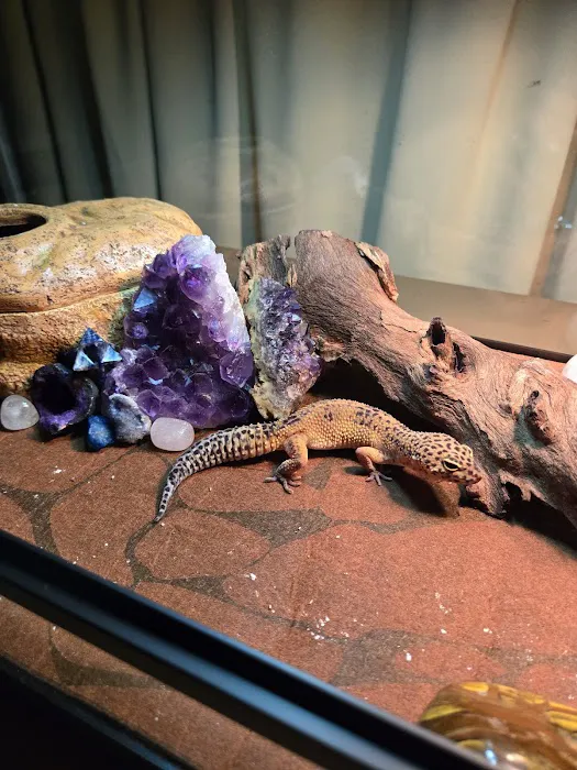 Tails to Scales Picture 2