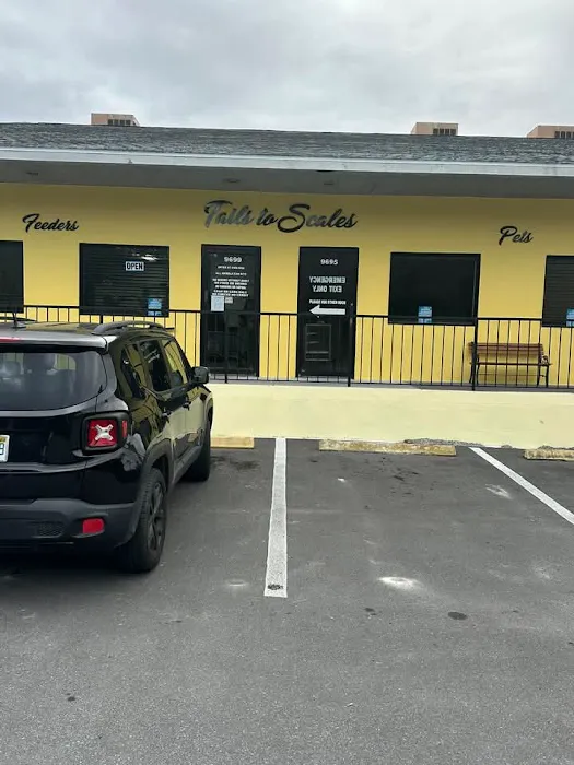 Tails to Scales Picture 8