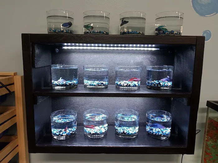 Tails to Scales Picture 5