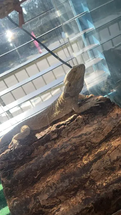 Tails to Scales Picture 9