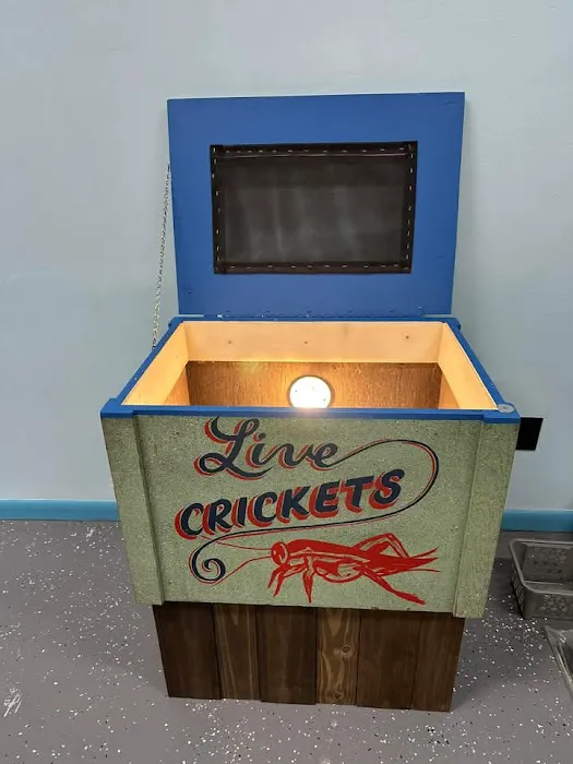 Tails to Scales Picture 7