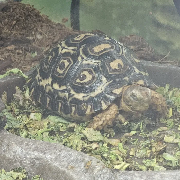 Tails to Scales Picture 6