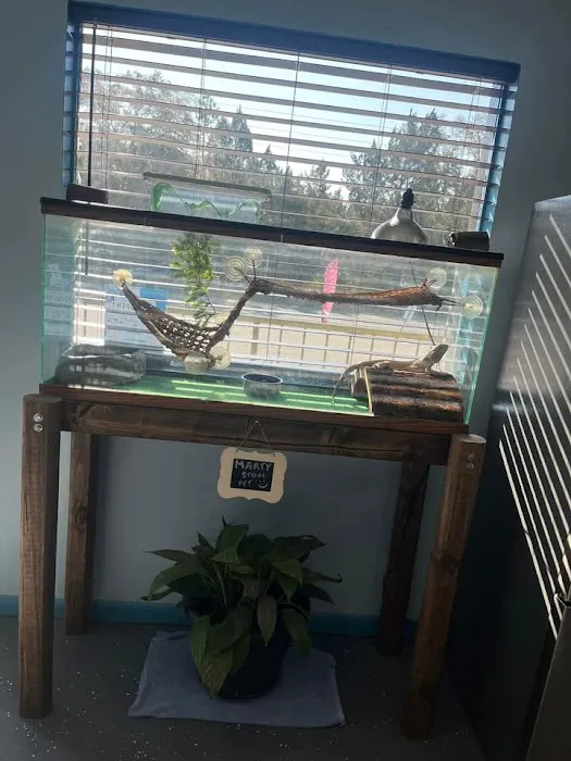 Tails to Scales Picture 10