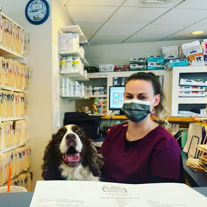 Wellesley Animal Hospital Picture 10