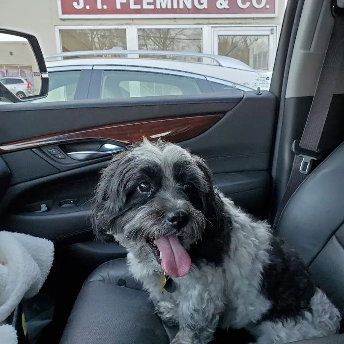 Wellesley Animal Hospital Picture 5