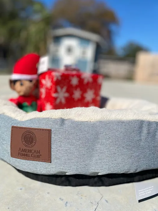 The Loyal Paws Picture 5