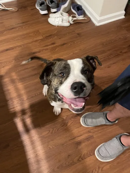 The First Place For Pets Picture 10