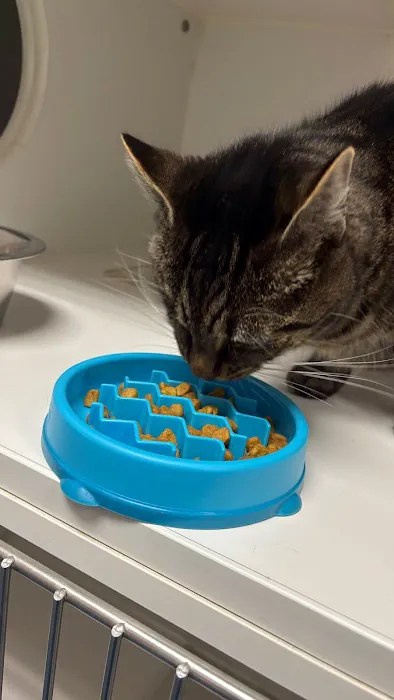 Ayer Animal Medical Center Picture 2