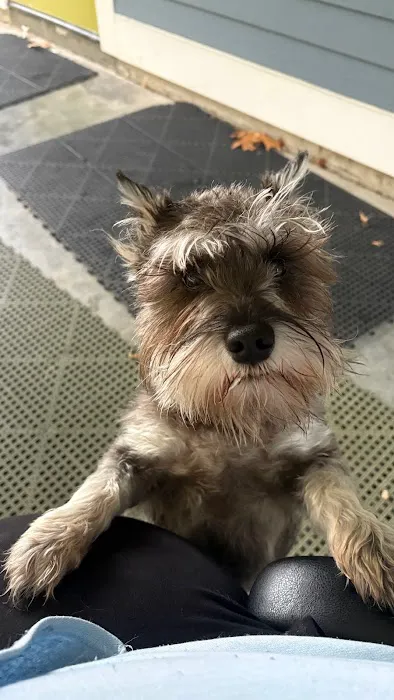 Ayer Animal Medical Center Picture 7