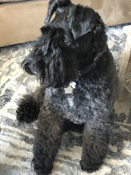 Shepherd Veterinary Clinic Picture 3