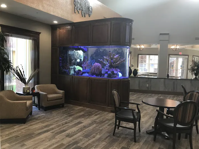 Creative Aquariums of Tampa Picture 6