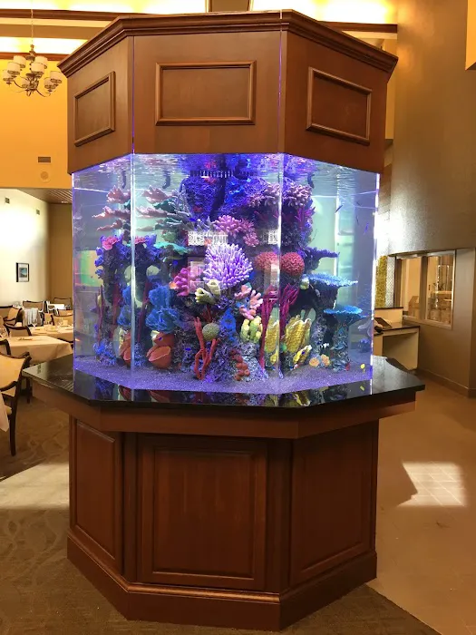 Creative Aquariums of Tampa Picture 9