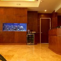 Creative Aquariums of Tampa ico