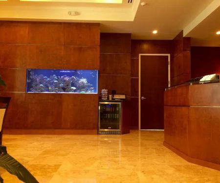 Creative Aquariums of Tampa