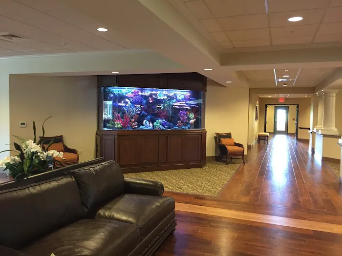 Creative Aquariums of Tampa Picture 2