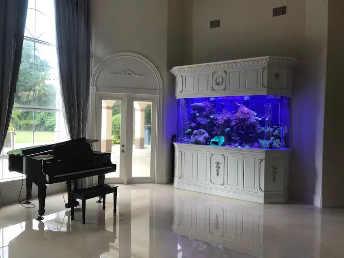 Creative Aquariums of Tampa Picture 10