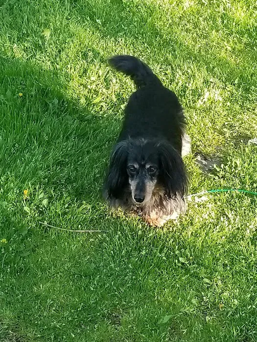 Harlem Valley Animal Clinic Picture 3