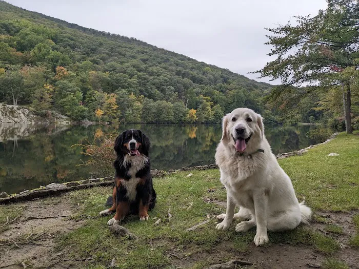 Harlem Valley Animal Clinic Picture 9