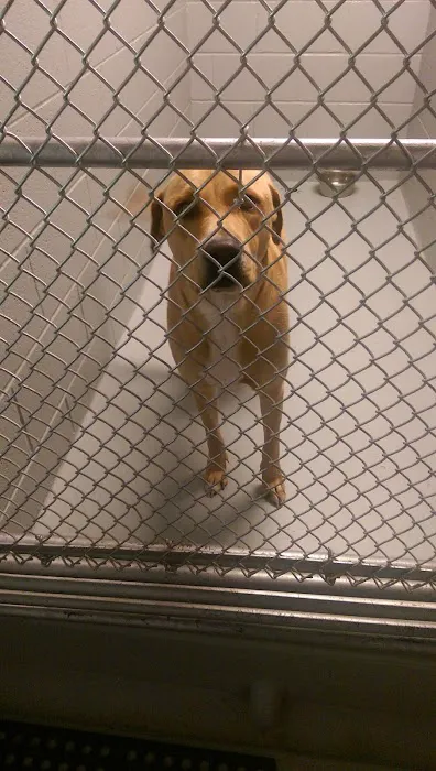 Harlem Valley Animal Clinic Picture 7