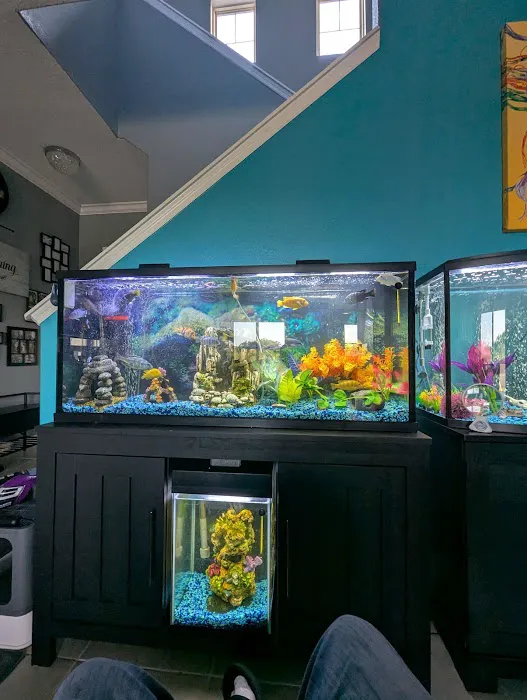 Tide & Stream Aquatics Picture 1