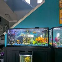 Tide & Stream Aquatics ico