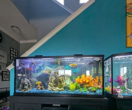 Tide & Stream Aquatics
