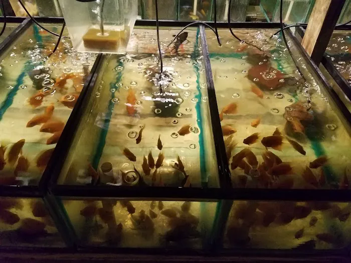 Tide & Stream Aquatics Picture 6