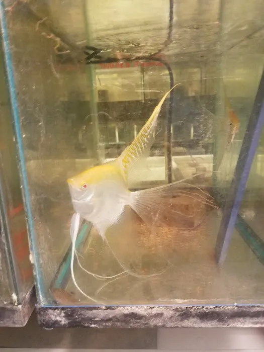 Tide & Stream Aquatics Picture 5