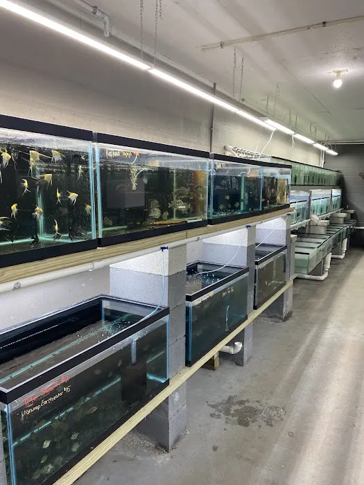 Tide & Stream Aquatics Picture 8