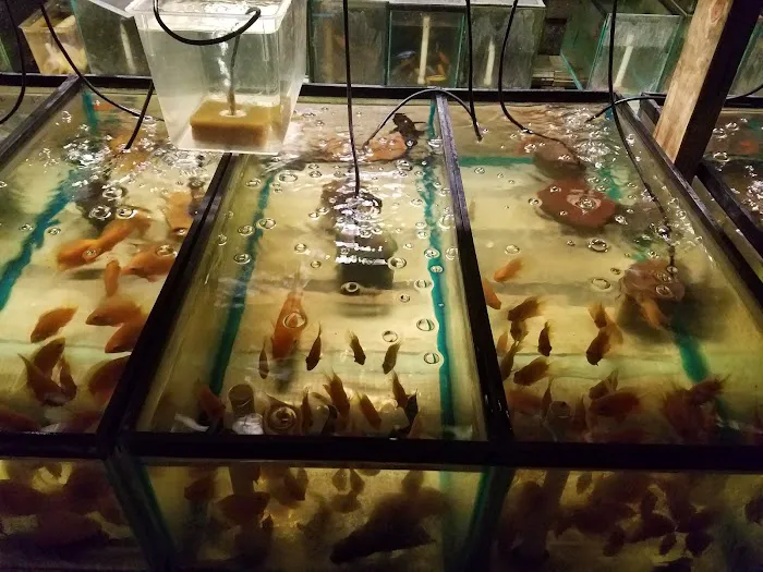 Tide & Stream Aquatics Picture 7