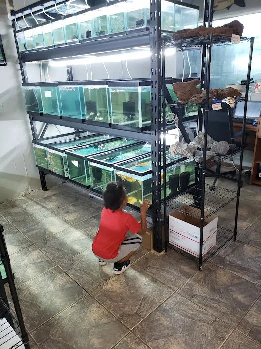 Tide & Stream Aquatics Picture 9