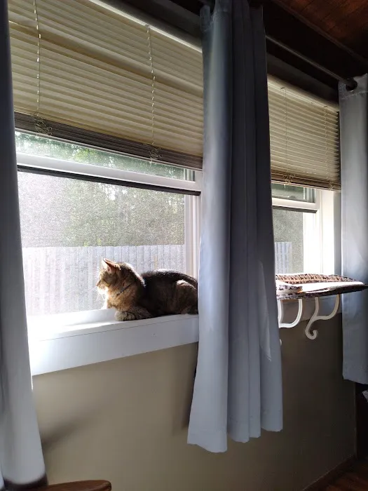 Center For Veterinary Care Picture 2