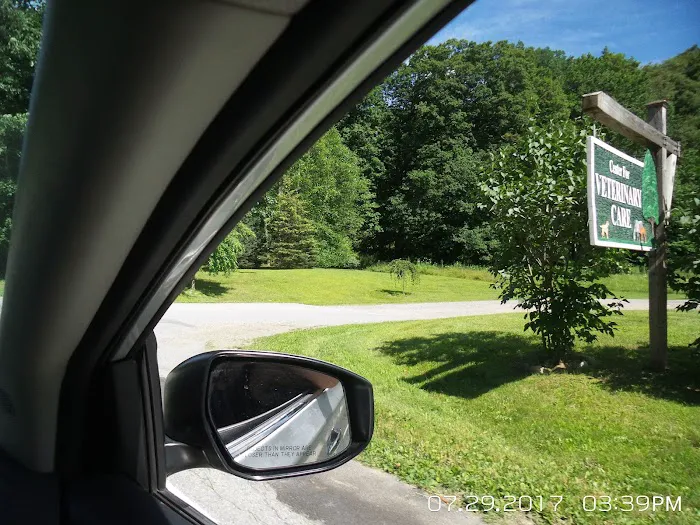 Center For Veterinary Care Picture 5